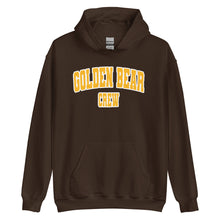 Load image into Gallery viewer, GOLDEN BEAR HOODIE
